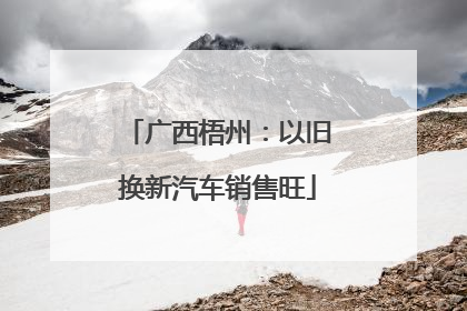 广西梧州：以旧换新汽车销售旺