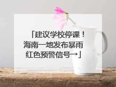 建议学校停课！海南一地发布暴雨红色预警信号→