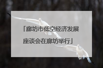 廊坊市低空经济发展座谈会在廊坊举行