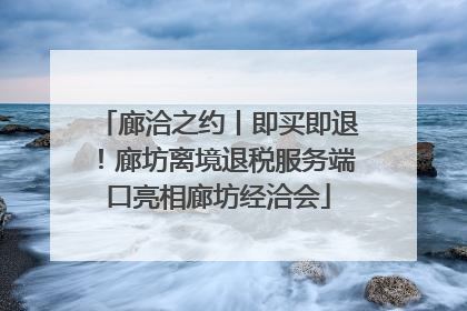 廊洽之约丨即买即退！廊坊离境退税服务端口亮相廊坊经洽会
