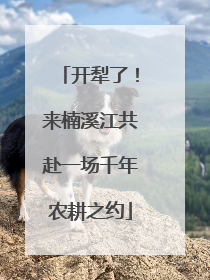 开犁了！来楠溪江共赴一场千年农耕之约