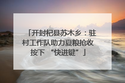 开封杞县苏木乡：驻村工作队助力夏粮抢收按下 “快进键”