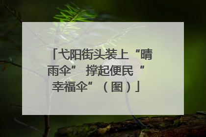 弋阳街头装上“晴雨伞” 撑起便民“幸福伞”（图）