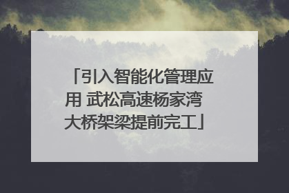 引入智能化管理应用 武松高速杨家湾大桥架梁提前完工