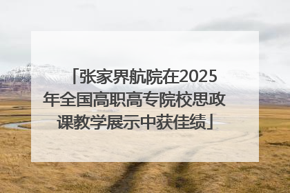 张家界航院在2025年全国高职高专院校思政课教学展示中获佳绩