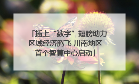插上“数字”翅膀助力区域经济腾飞 川南地区首个智算中心启动