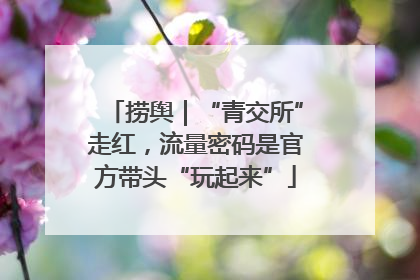 捞舆｜“青交所”走红，流量密码是官方带头“玩起来”