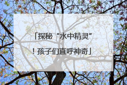探秘“水中精灵”！孩子们直呼神奇