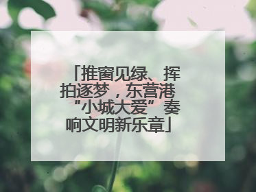 推窗见绿、挥拍逐梦，东营港“小城大爱”奏响文明新乐章