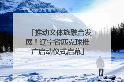 推动文体旅融合发展！辽宁省匹克球推广启动仪式启幕