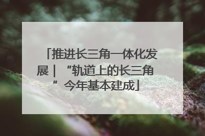 推进长三角一体化发展｜“轨道上的长三角”今年基本建成