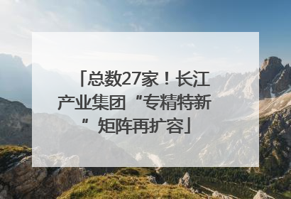 总数27家！长江产业集团“专精特新”矩阵再扩容