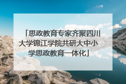 思政教育专家齐聚四川大学锦江学院共研大中小学思政教育一体化