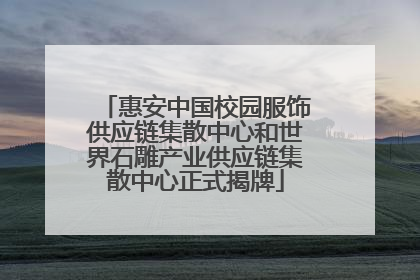 惠安中国校园服饰供应链集散中心和世界石雕产业供应链集散中心正式揭牌