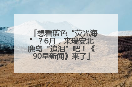 想看蓝色“荧光海”？6月，来瑞安北麂岛“追泪”吧！《90早新闻》来了