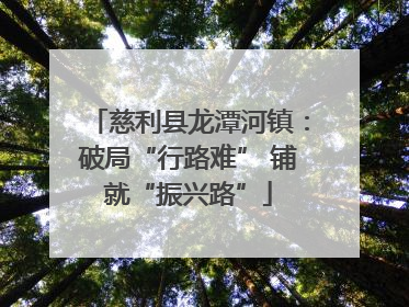 慈利县龙潭河镇：破局“行路难” 铺就“振兴路”