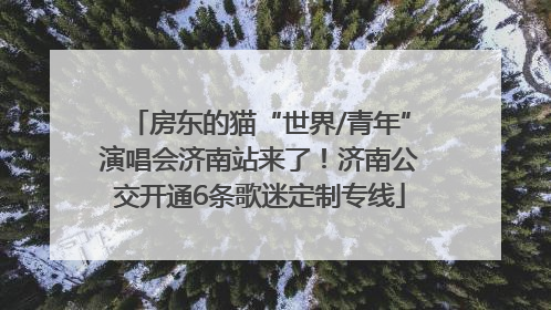 房东的猫“世界/青年”演唱会济南站来了！济南公交开通6条歌迷定制专线