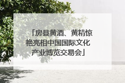 房县黄酒、黄精惊艳亮相中国国际文化产业博览交易会