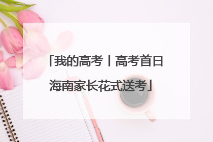 我的高考丨高考首日 海南家长花式送考