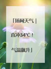 扬网天气｜直冲34℃！气温飙升