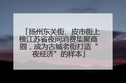 扬州东关街、皮市街上榜江苏省夜间消费集聚商圈，成为古城老街打造“夜经济”的样本