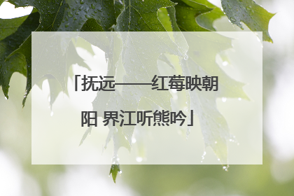 抚远——红莓映朝阳 界江听熊吟
