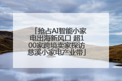 抢占AI智能小家电出海新风口 超100家跨境卖家探访慈溪小家电产业带