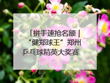 拼手速抢名额｜“健郑球王”郑州乒乓球精英大奖赛报名火热