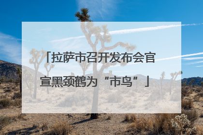 拉萨市召开发布会官宣黑颈鹤为“市鸟”