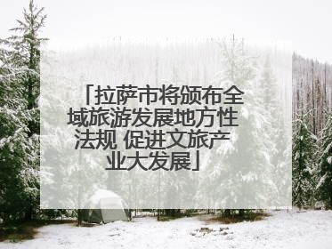 拉萨市将颁布全域旅游发展地方性法规 促进文旅产业大发展