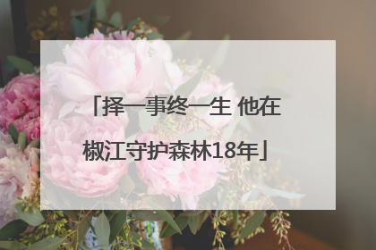 择一事终一生 他在椒江守护森林18年