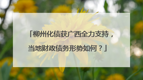 柳州化债获广西全力支持，当地财政债务形势如何？