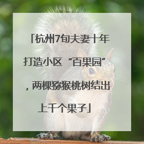 杭州7旬夫妻十年打造小区“百果园”，两棵猕猴桃树结出上千个果子