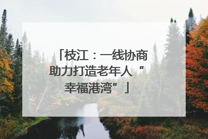 枝江：一线协商助力打造老年人“幸福港湾”