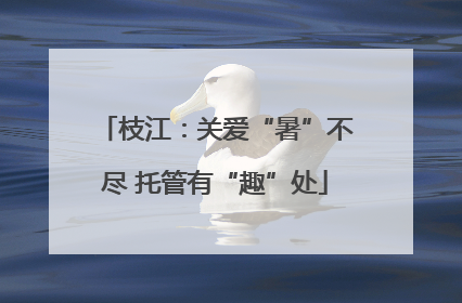 枝江：关爱“暑”不尽 托管有“趣”处