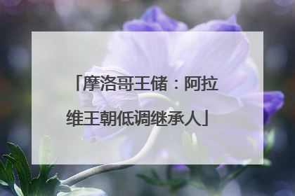 摩洛哥王储：阿拉维王朝低调继承人
