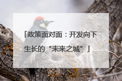 政策面对面：开发向下生长的“未来之城”
