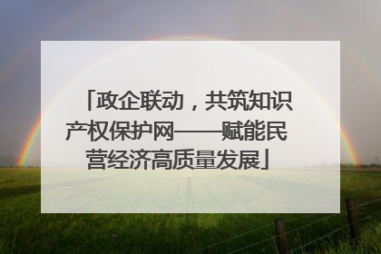 政企联动，共筑知识产权保护网——赋能民营经济高质量发展