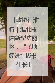 政协江淮行｜淮北段园新型功能区：“飞地经济”拔节生长