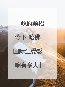 政府禁招令下 哈佛国际生受影响有多大