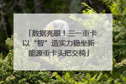 数据亮眼！三一重卡以“智”造实力稳坐新能源重卡头把交椅