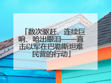 数次驱赶、连续巨响、呛出眼泪——直击以军在巴勒斯坦难民营的行动
