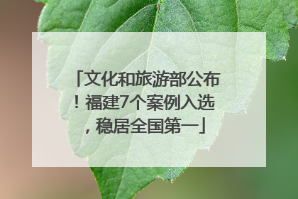 文化和旅游部公布！福建7个案例入选，稳居全国第一