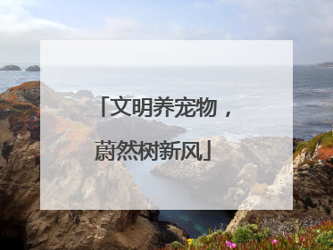 文明养宠物,蔚然树新风