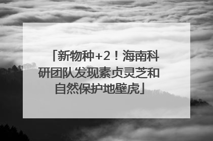 新物种+2！海南科研团队发现素贞灵芝和自然保护地壁虎
