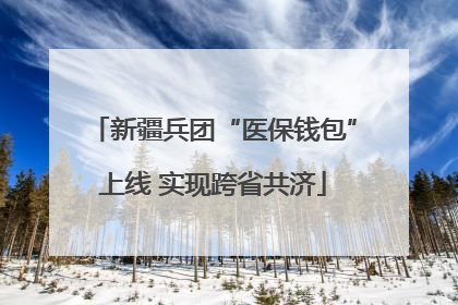 新疆兵团“医保钱包”上线 实现跨省共济