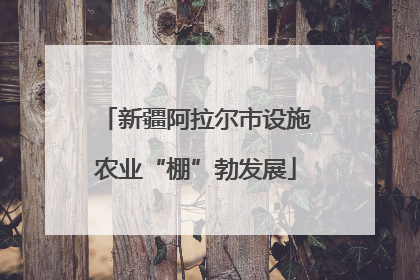 新疆阿拉尔市设施农业“棚”勃发展