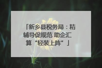 新乡县税务局：精辅导促规范 助企汇算“轻装上阵”