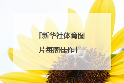 新华社体育图片每周佳作