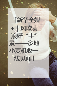 新华全媒+｜风吹麦浪好“丰”景——多地小麦机收一线见闻